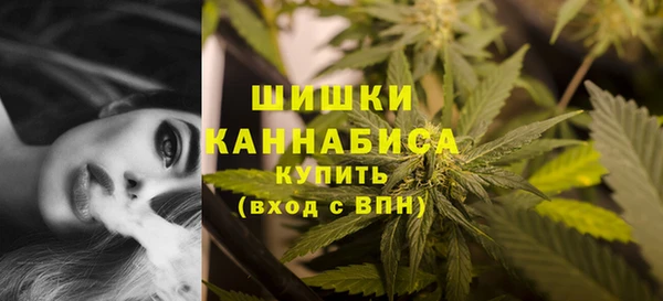 МДПВ Осинники