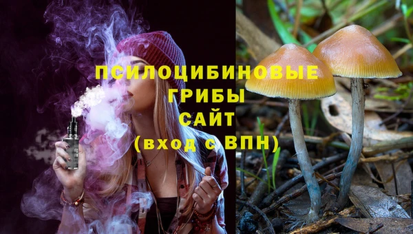 МДПВ Осинники