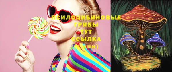 МДПВ Осинники