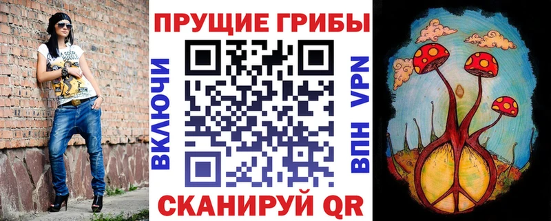 Купить  Фролово  Галлюциногенные грибы MAGIC MUSHROOMS 